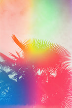 Load image into Gallery viewer, Show: Design Within Reach
