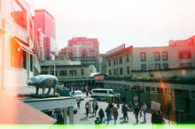 Load image into Gallery viewer, Show: Design Within Reach
