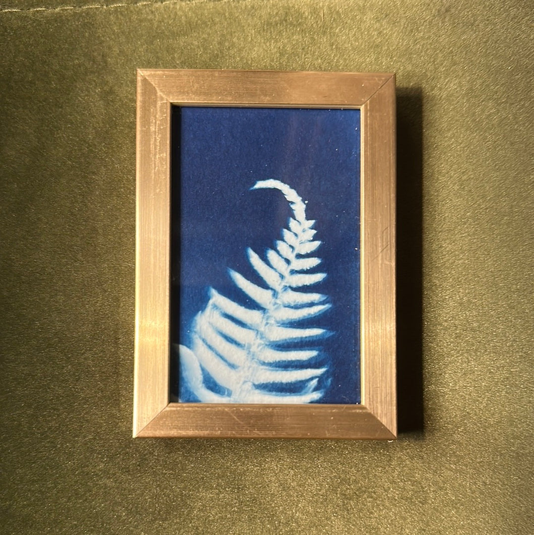 Mini Cyanotype Print (gold frame)