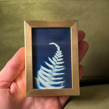 Load image into Gallery viewer, Mini Cyanotype Print (gold frame)
